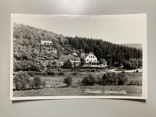 1960 foto daaden - ak,