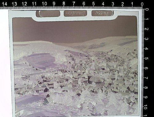 31000558 5244 daaden - 31000558,